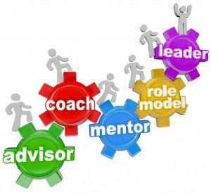 Processo de coaching, mentoring, counselling e orientação profissional