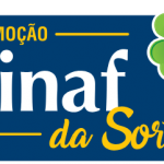 Estagio em Psicologia